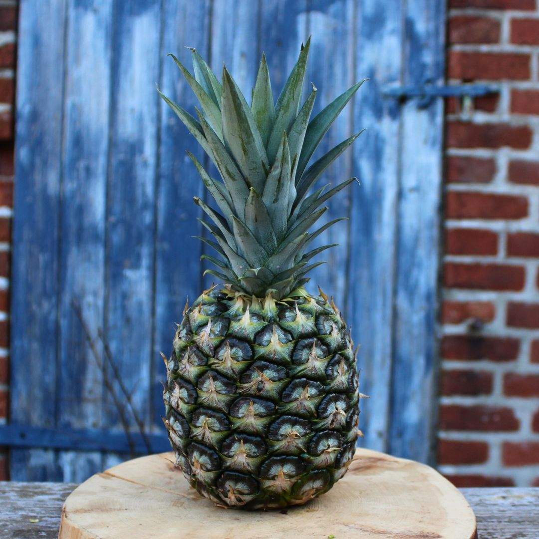 Ananas