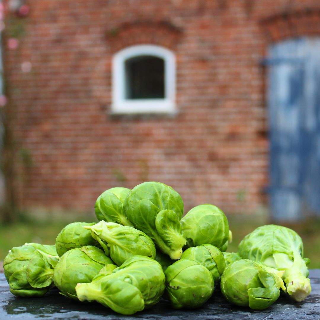 Rosenkohl