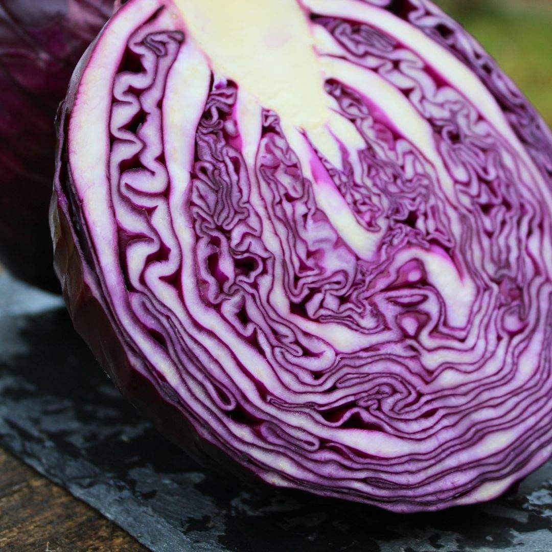 Rotkohl