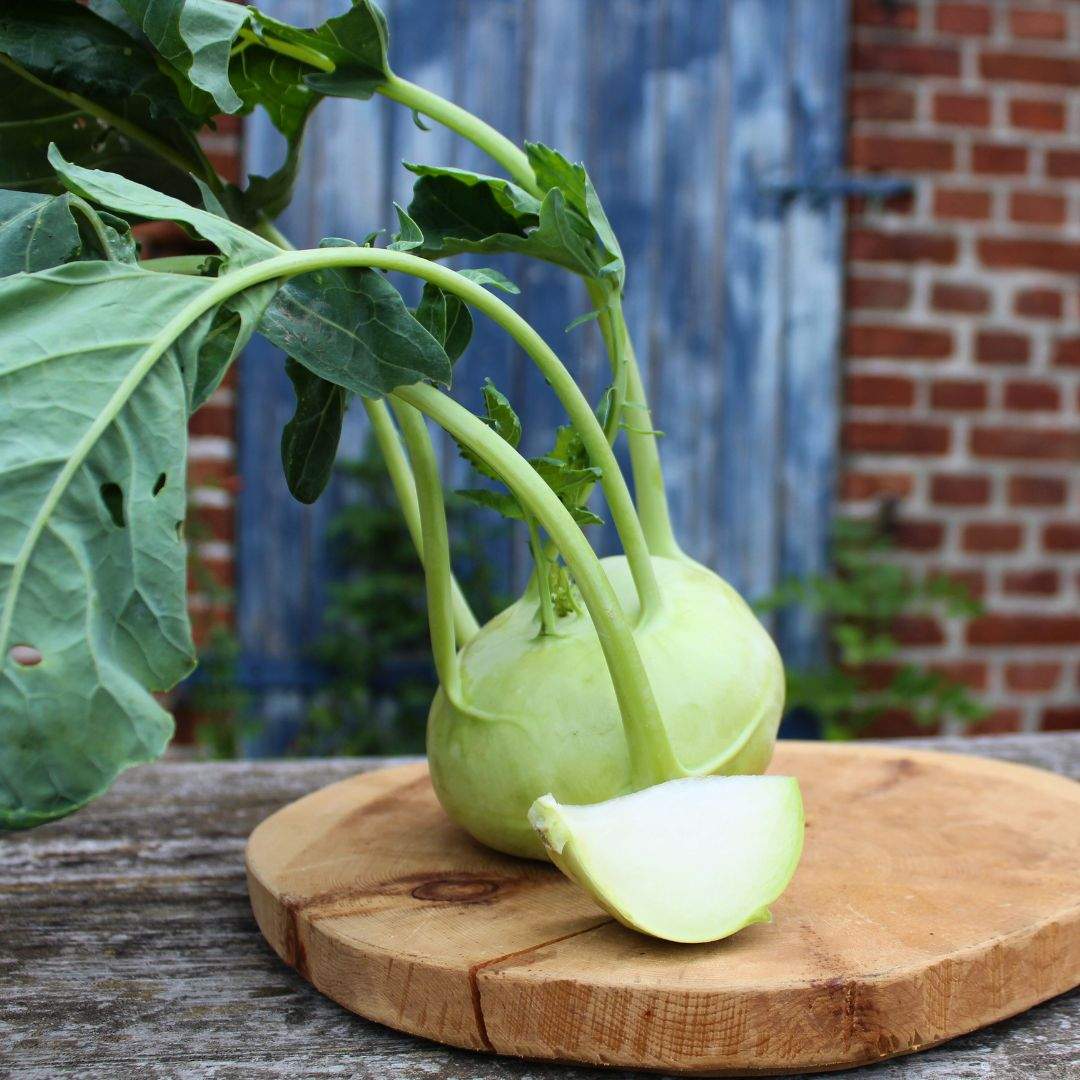 Kohlrabi