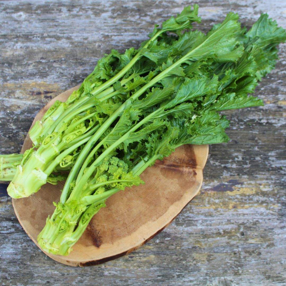Cime di Rapa