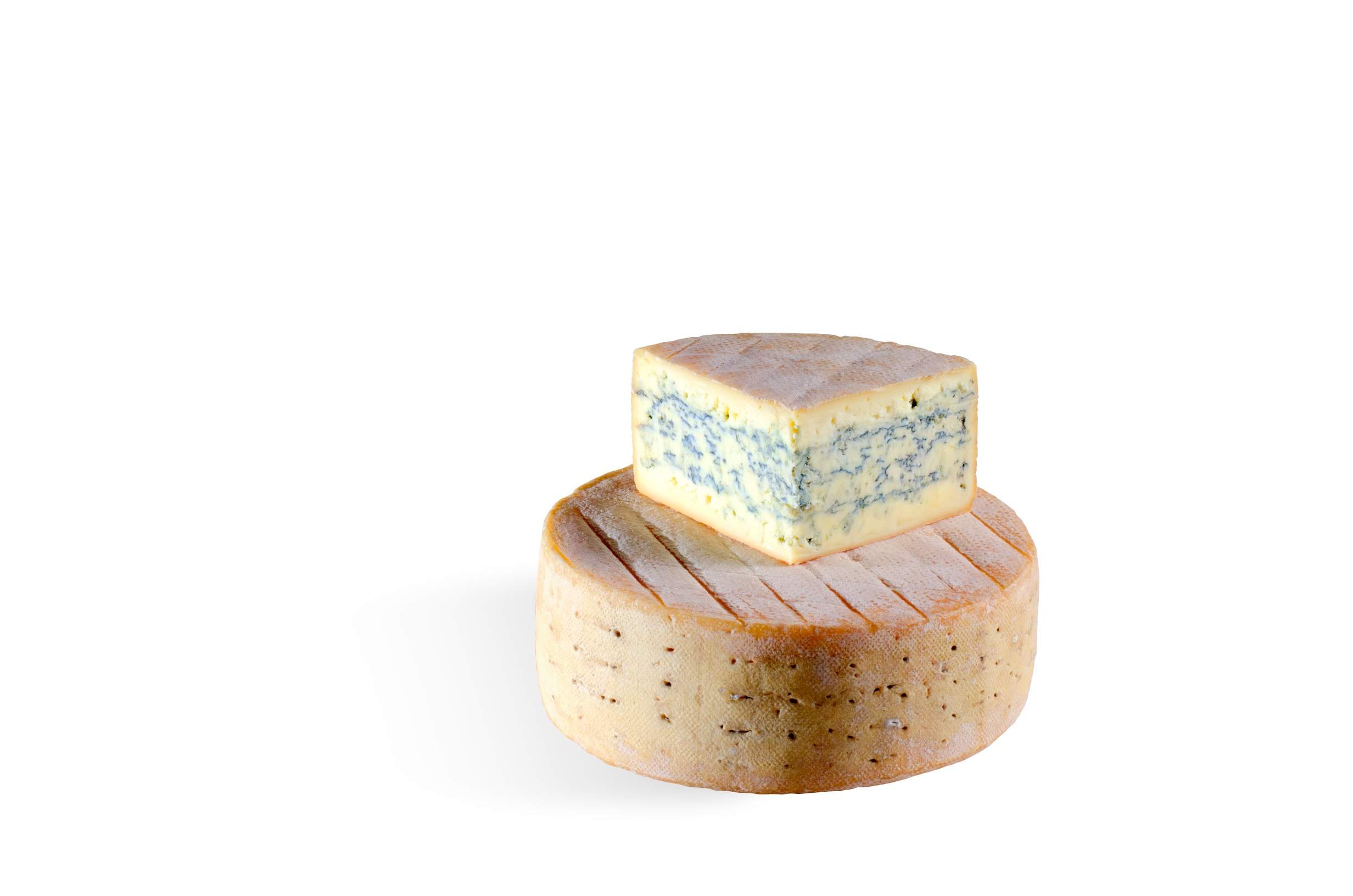 Friesisch Blue