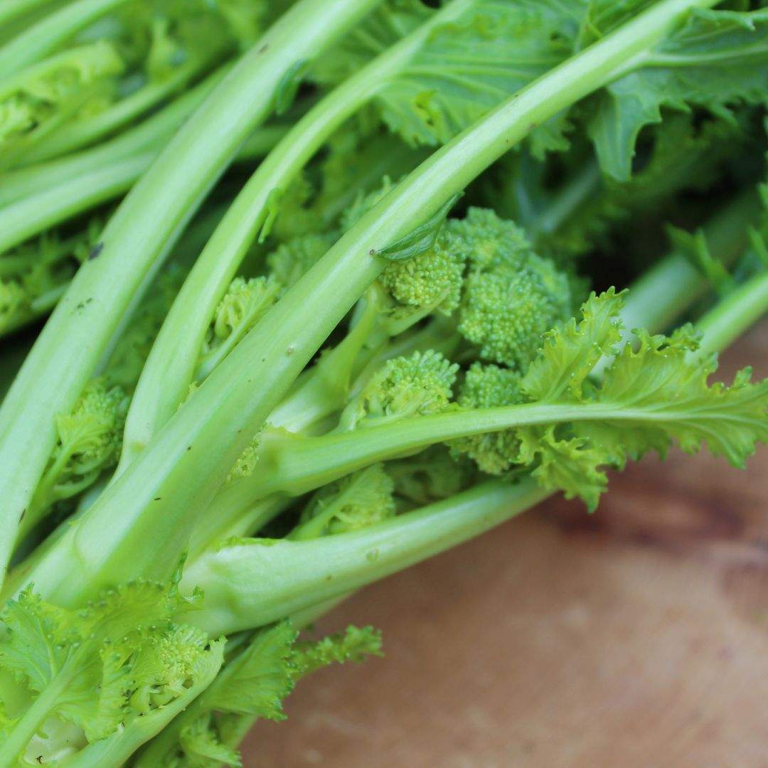 Cime di Rapa