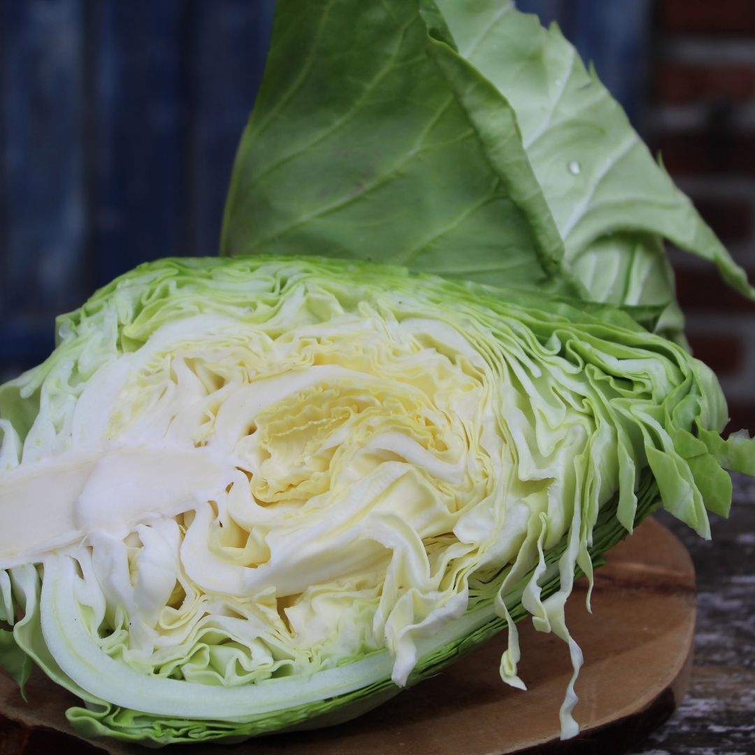 Spitzkohl