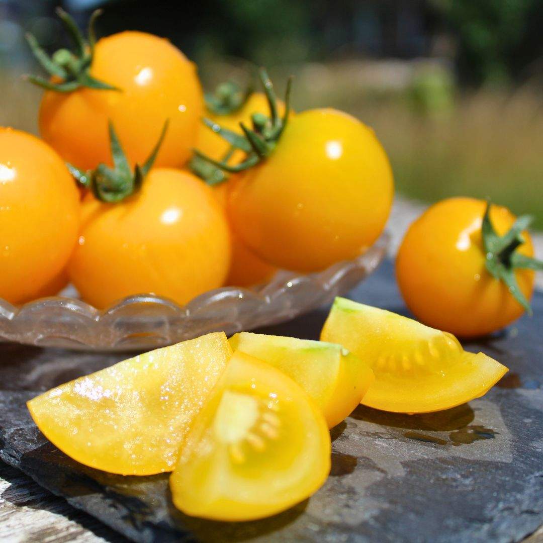 Cocktail-Tomaten gelb