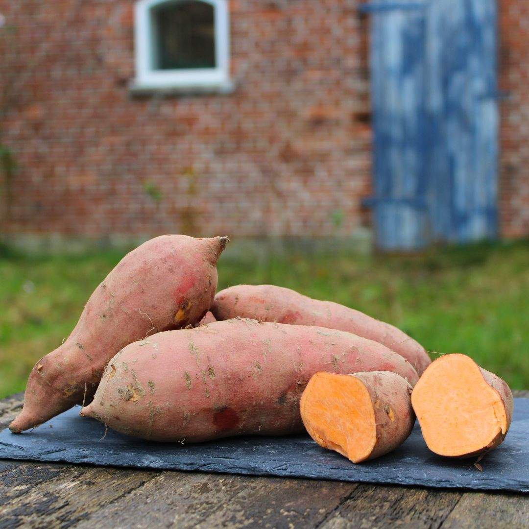 Süßkartoffeln