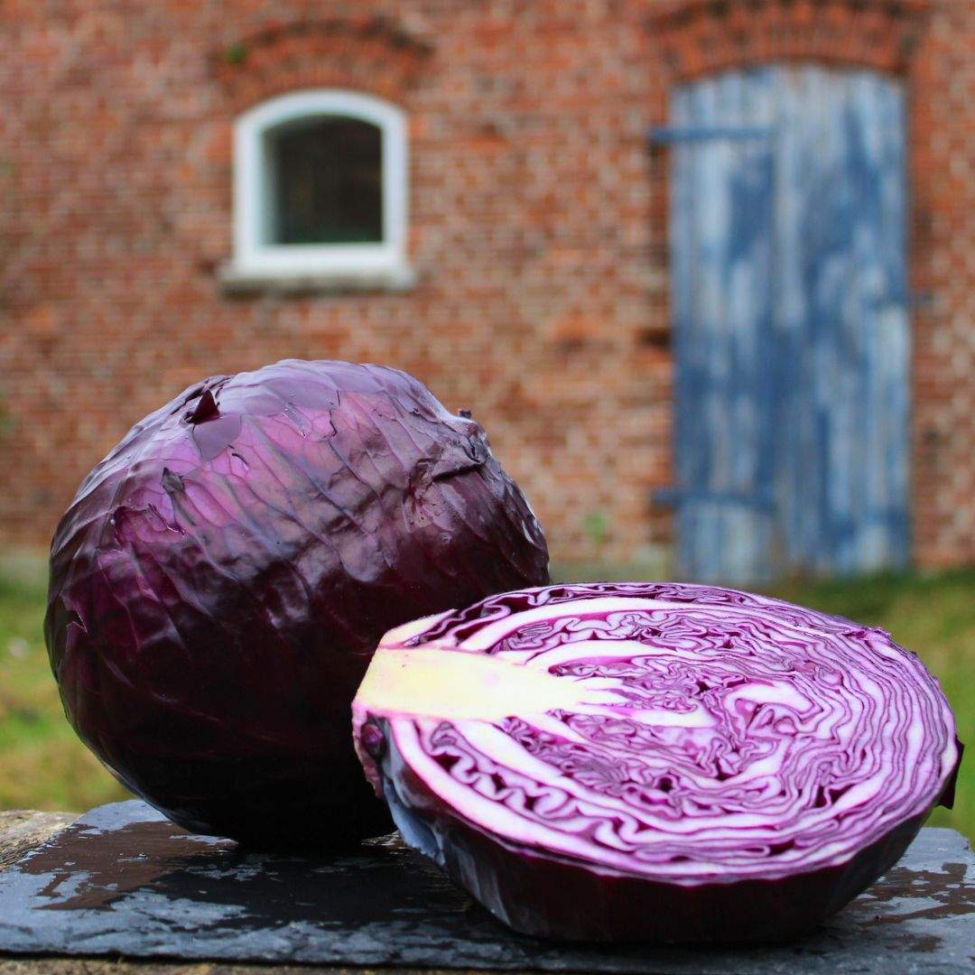 Rotkohl