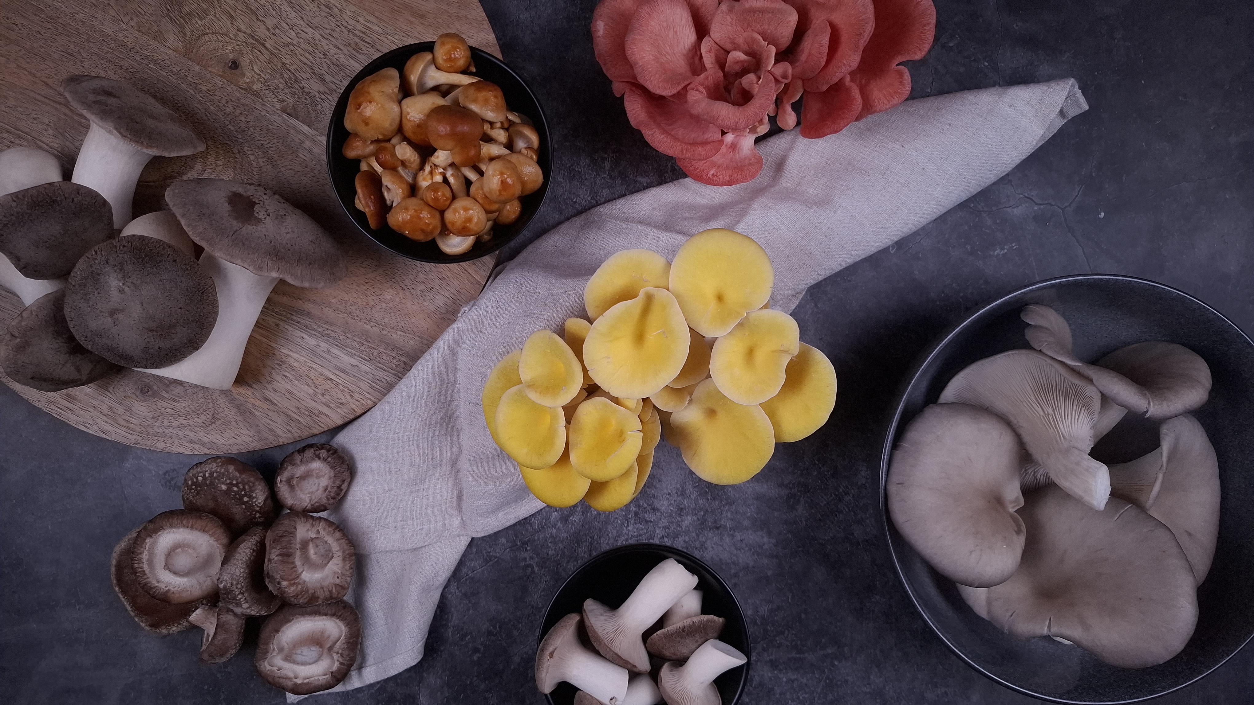 Sechs Edelpilzsorten von Brinkers Pilzdiele im Überblick: Shiitake, Kräuterseitling, Goldkäppchen, Limonenseitling, Rosenseitling und Austernseitling