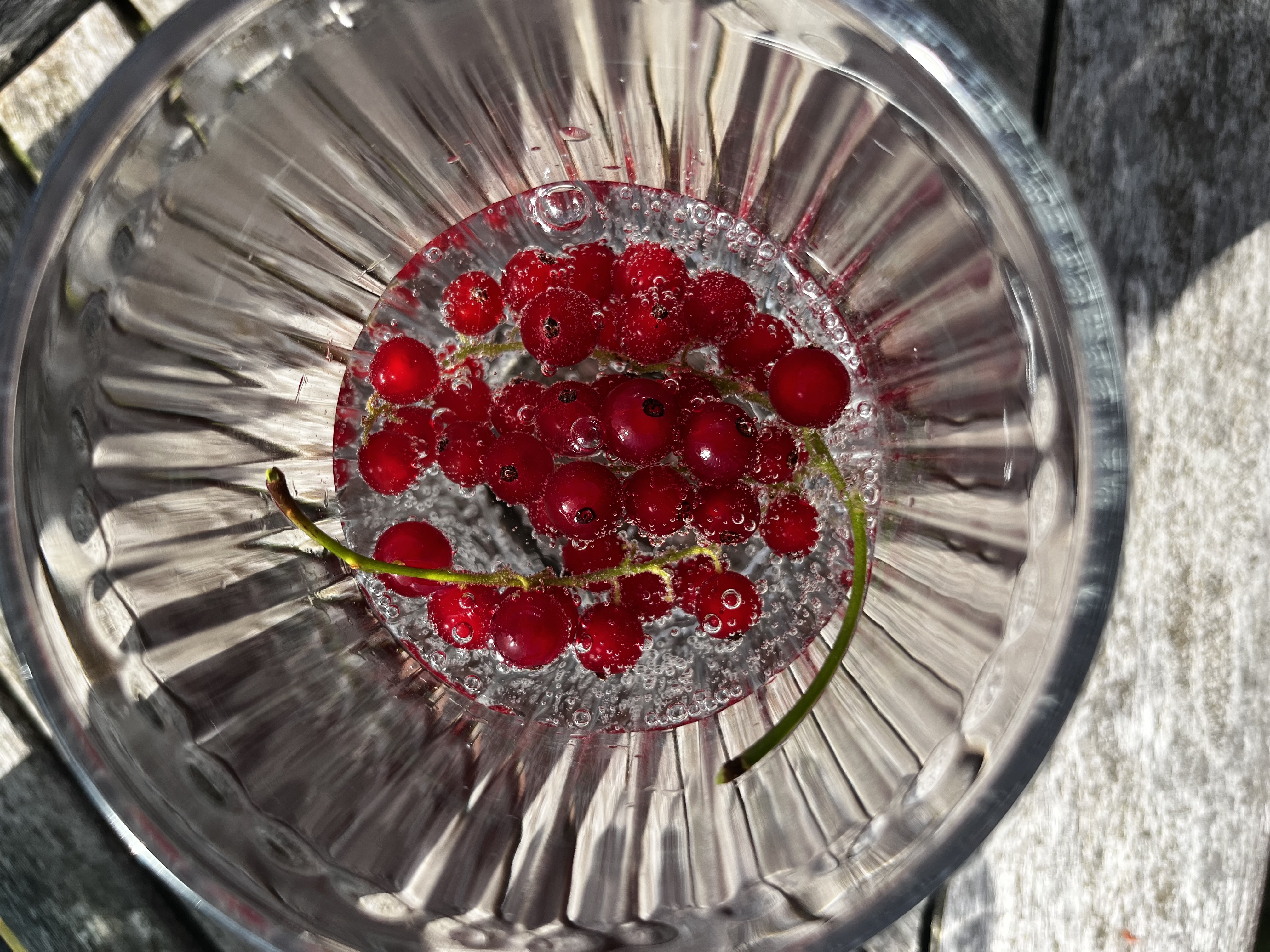 Gefrorene Johannisbeeren im Glas